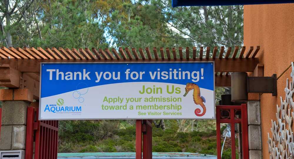 birch aquarium
