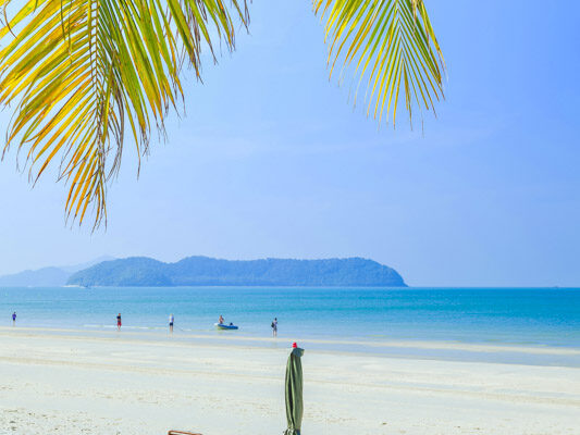 beach chairs under palm tree on langkawi beach