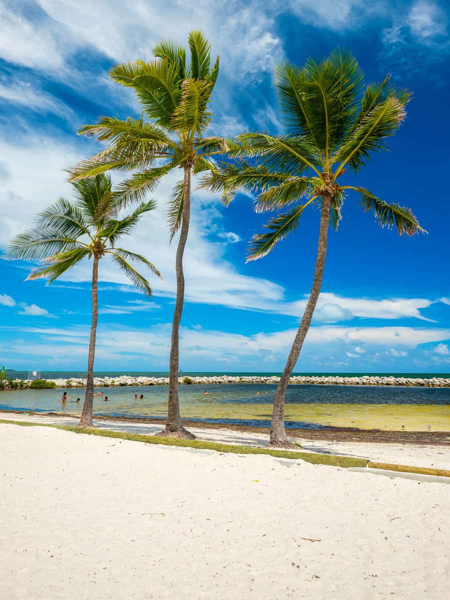 Beach with palm trees.