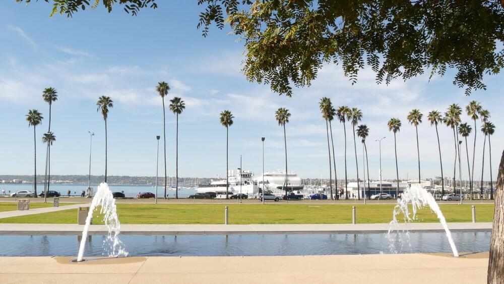 fountains in a park