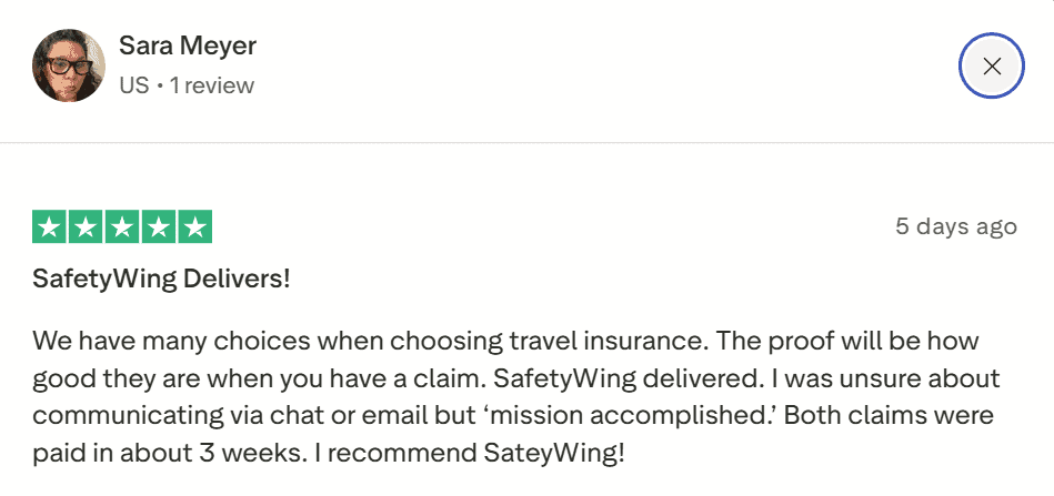 safetwing trust pilot review